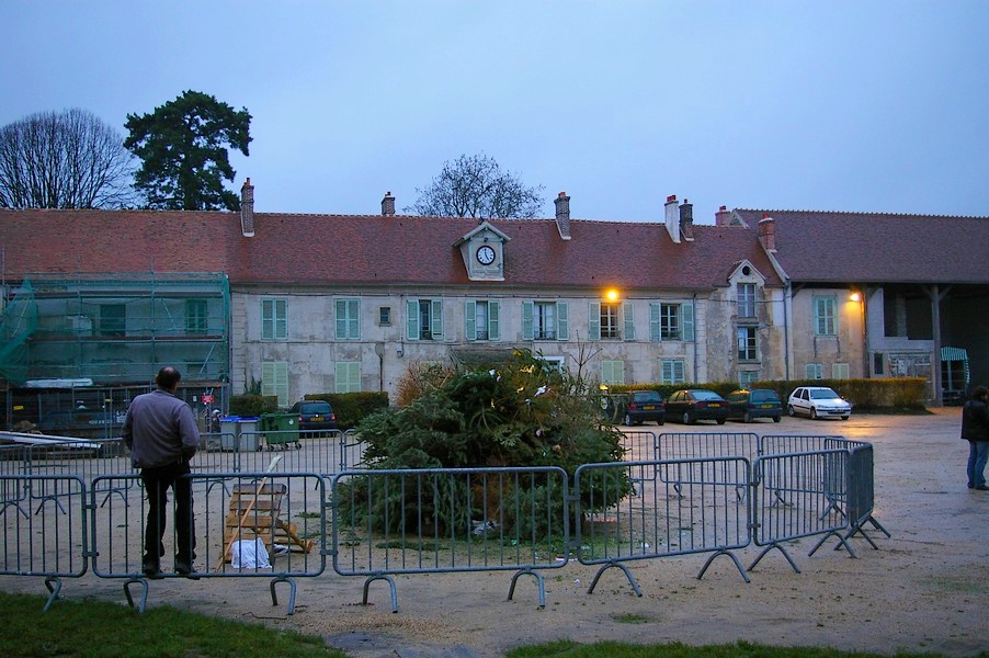 Sapins Galette et cidre: feu de joie sapins 006